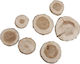 Rayher Wooden Washers Craft Item 100gr