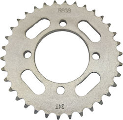 IQ Tech Hinteres Ritzel