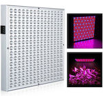 Desk Grow Light with LED