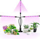 Desk Grow Light with LED