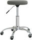 vidaXL Medical Stool Gray 3085739