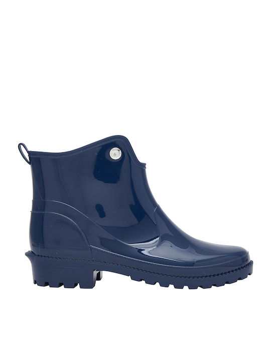Scholl