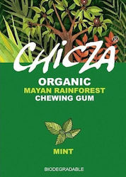 Chicza Chewing gum 12pcs 30gr