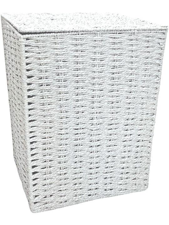 TnS Coș de rufe din Wicker Capotă 40x28x55cm White