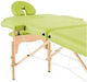 iCosmetics Green Massage and Physiotherapy Accessories Detachable Lateral Arm Supports