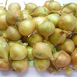 Primasem Луковица Лук Коктейл лук 1kg