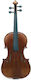 Gewa Gewa Maestro 6 Antique 4/4 Viola