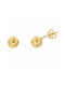 Earrings made of Gold 14K