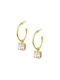 Earrings Hoops Gold Plated with Stones