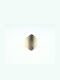 Pearl's Garden Damen Ring Vergoldet