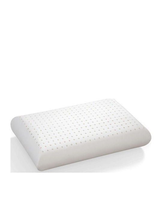 Mattex Perna Pat Latex 50x70cm