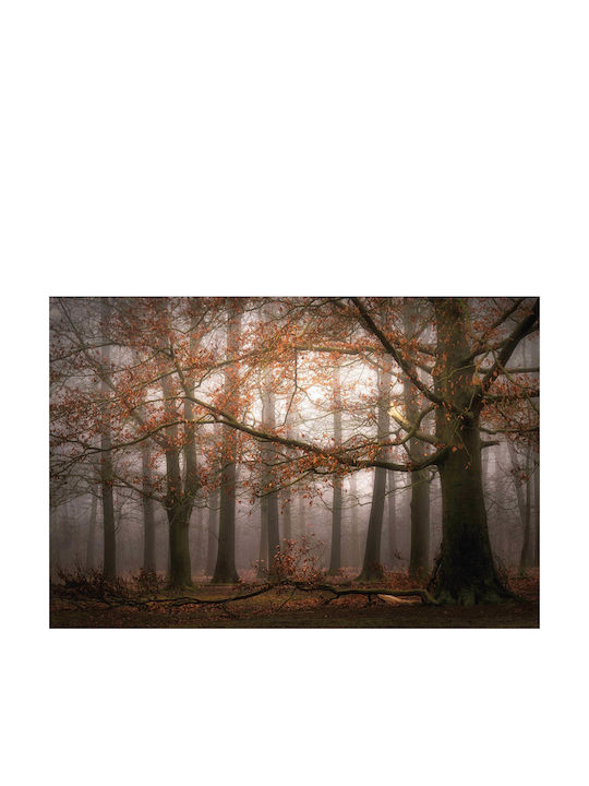 Fototapet de Perete Autumn L336xW260cm