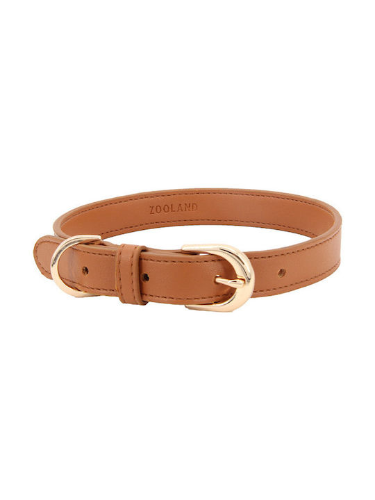 Dog Collar in Brown color