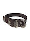 Dog Collar in Brown color