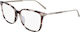 Longchamp Weiblich Brillenrahmen Braun Schildpatt LO2661 517