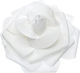 Palma Emporio Decorative Element for Wedding Fa...
