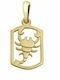 Kids Pendant Zodiac Sign in 9K Gold