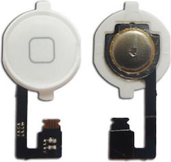 Flex Cable with Home Button for