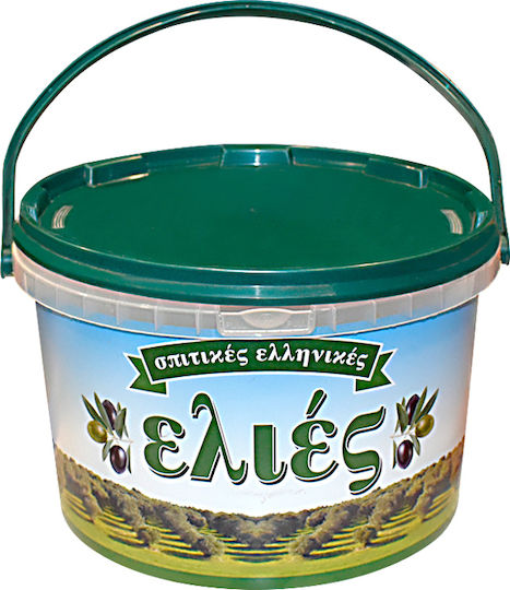Stabplast Commercial Food Storage Container 5.1lt 24x24x15.5cm