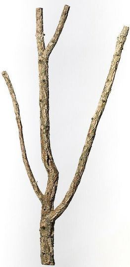 Decorative Cork Tronchos 60-80cm Accesorii pentru terariu de reptile