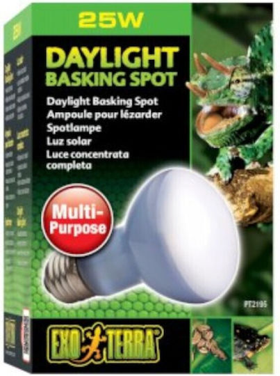 Exo Terra Basking Spot Accessory for Reptiles Terrarium