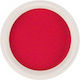 Trendy Color Cosmetics Σκόνη Ακρυλικού 10гр 3090