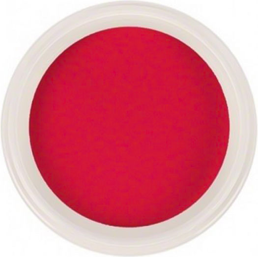 Trendy Color Cosmetics Σκόνη Ακρυλικού 10гр 3090