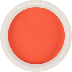 Trendy Color Cosmetics Σκόνη Ακρυλικού σε Πορτοκαλί Χρώμα 5gr 12164