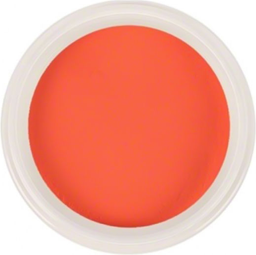Trendy Color Cosmetics Σκόνη Ακρυλικού 5gr 12164