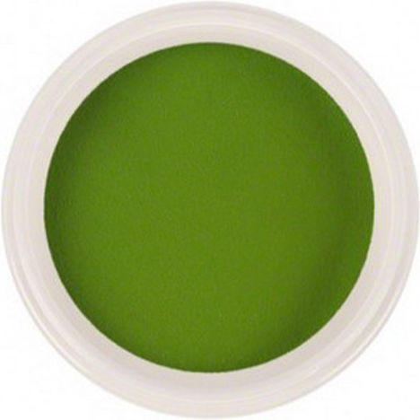 Trendy Color Cosmetics Σκόνη Ακρυλικού 5gr 3099