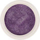 Trendy Color Cosmetics Σκόνη Ακρυλικού 5gr 3094