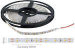 Spot Light Rezistentă la apă Bandă LED Alimentare 12V cu Lumină Alb Natural Lungime 1m și 60 LED-uri pe Metru