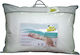 Go Smart Home Aloe Vera Sleep Pillow Cotton Made 50x70cm
