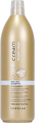 Inebrya Ice Cream Shampoos Glättung & Glanz 1000ml