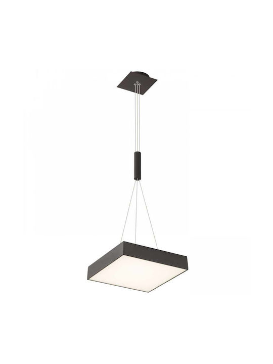 Rendl Light Studio Pendant Light LED