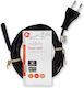 Nedis Euro - Euro Cablu 3m Negru (CEGL11040BK30)