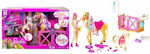 Barbie Toilettage des Chevaux Set