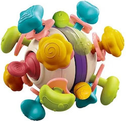 Teething Teether For 6 M+