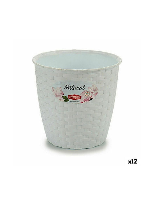 Stefanplast Flower Pot 14x14cm Set 12pcs White