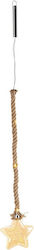 Bizzotto Hanging Illuminated Star 17cm Bizzotto Hanging Illuminated Star 17cm