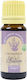 PNI Ätherisches Öl Salbei 10ml
