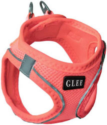 Glee Orange Mittel