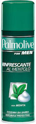 Palmolive Schaumstoff Rasieren 300ml