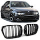 Măști decorative pentru mașini BMW E39