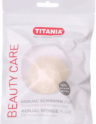 Titania Sponge