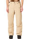 Oakley Best Cedar Rc FOA403445-31R Men's Trousers for Ski & Snowboard Beige