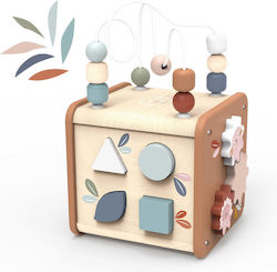 Speedy Monkey Activity Cube for 12++ Months
