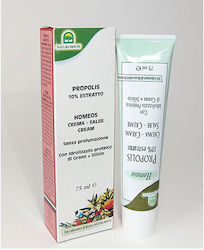 Natura House Homeos Κρέμα για Εγκαύματα & Επούλωση 75ml