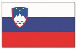 Slovakia Flag Slovakia Flag