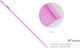 Sadipal Einwickelpapier für Geschenke Rosa 100cm.